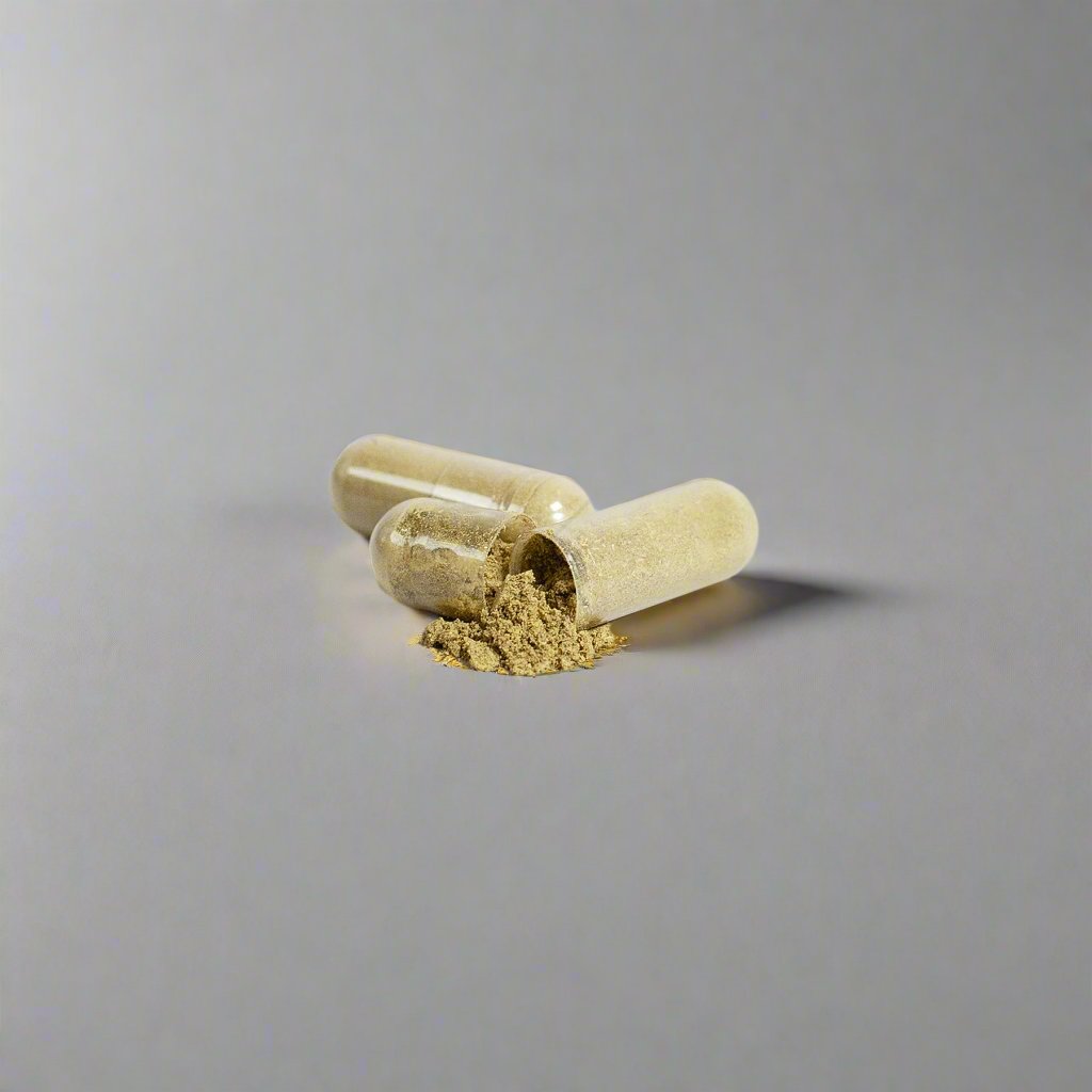 Ginkgo Biloba + Ginseng